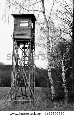 View of a high seat (for hunters) at the edge of the forest with fir trees, black and white picture