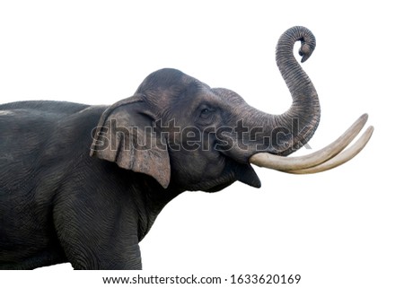 Thailand elephant statue isolated on white background. File contains with clipping path so easy to work.