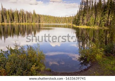 Whitewood lake reflecting the surrounding forest and sky in BC, Canada. Royalty-Free Stock Photo #1633639741