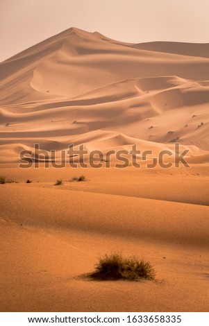 This is a calming picture of a desert