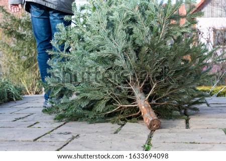 The legs of a man pulling the old christmas tree away Royalty-Free Stock Photo #1633694098