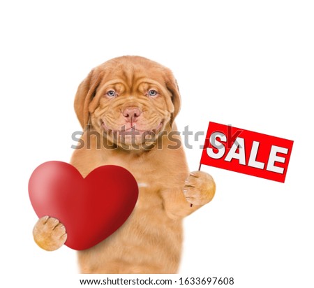 Smiling puppy holds red heart and sales symbol. isolated on white background