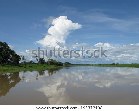 Beautiful and interesting landscapes, Amazonia Brazil 