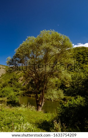 A vertical picture of a river surrounded by hills covered in greenery under the sunlight