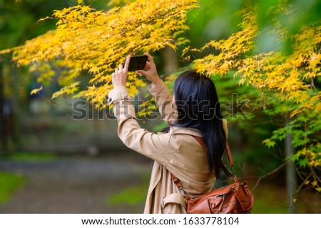 Woman traveller tourist enjoy takes photo and walks to see the scenery view of autumn village in Japan countryside, Autumn season change blooming on popular and famous place for tourist visit Japan 