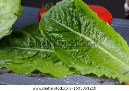Lettuce background fresh green lettuce salad closeup