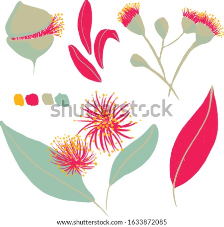 Set of flowers, buds and leaves of eucalyptus. Illustration with flowering plants. Suitable for creating backgrounds, logos, botanical frames. Decor of various objects.