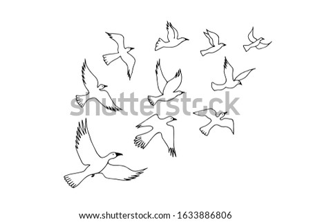 birds are flying, flock. eps10 vector stock illustration. out line