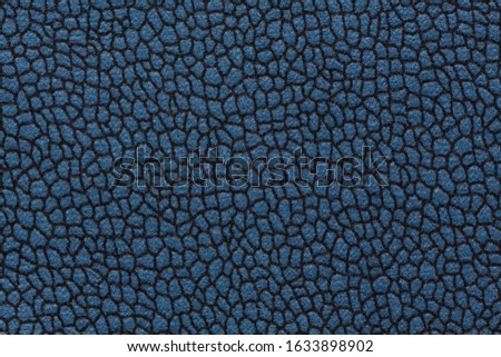 Fabric texture in blue colour with tracery. High resolution photo.