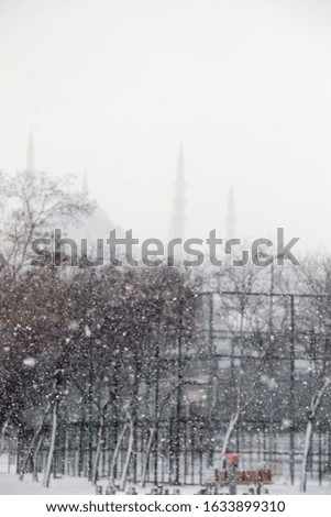 A vertical shot of snowflakes falling on the ground