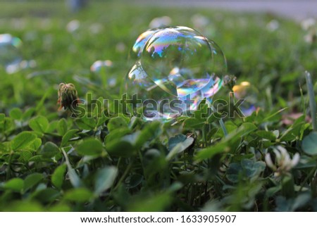 Soap bubbles close up on grass