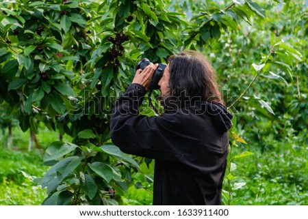Enthusiast photographer taking pictures of sweet black cherries in the industrial orchard. A young guy taking pleasure photographing