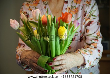 Old lady puts bouquet of spring tulips in the glass vase. Beautiful home decoration. Royalty-Free Stock Photo #1633921708