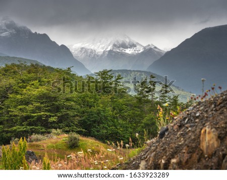 view to forest and hills in Patagonia National park in Argentina