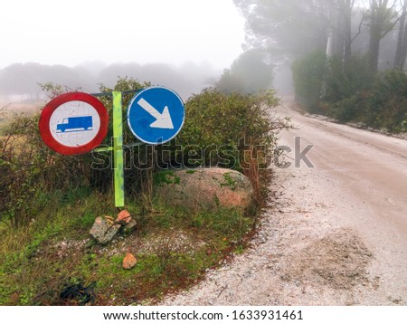 Traffic signals, pathway and fog between the pines. Cadalso de los Vidrios. Madrid. Spain. Europe.