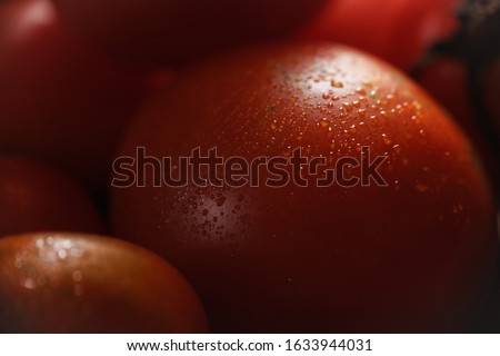 Close Up Fresh Tomatoes with Drops Of Dew isolated black background