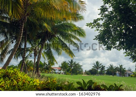 Tropical Paradise. a green tropical forest. Pathway in tropical park - abstract travel background.
