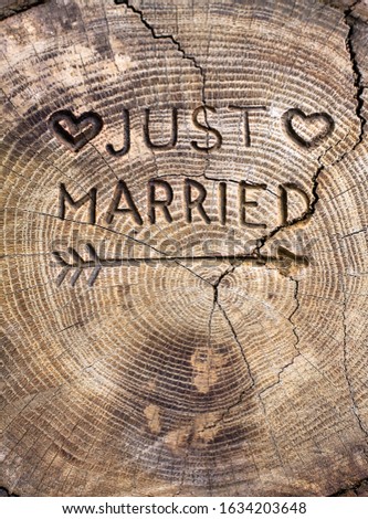Just married. An inscription on a cut of a tree for a wedding decoration. Handmade decorative board on oak. Photo for your invitation design.