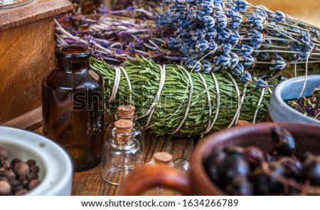 Dried herbs and berries in the ceramics cups on wooden table. Phytotherapy and aromatherapy concept. Boho style still life. Royalty-Free Stock Photo #1634266789