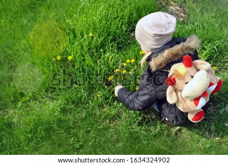A little girl with a backpack in the shape of a cow collects wildflowers. Bouquet of dandelions.