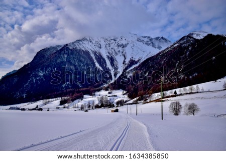 Cross-country ski slope in Northern Italy