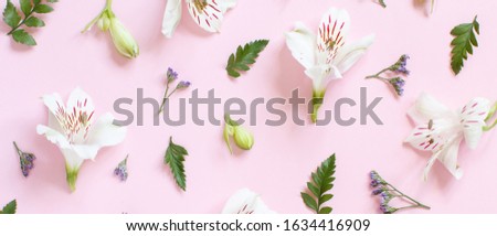 Flowers on a light blue background top view
