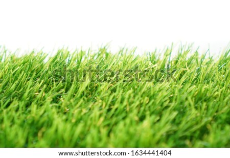 Evergreen artificial grass close-up on a white background