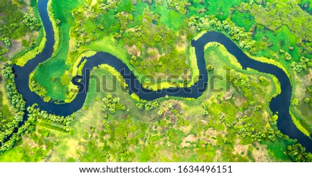 Aerial view of river meander in the lush green vegetation of the delta