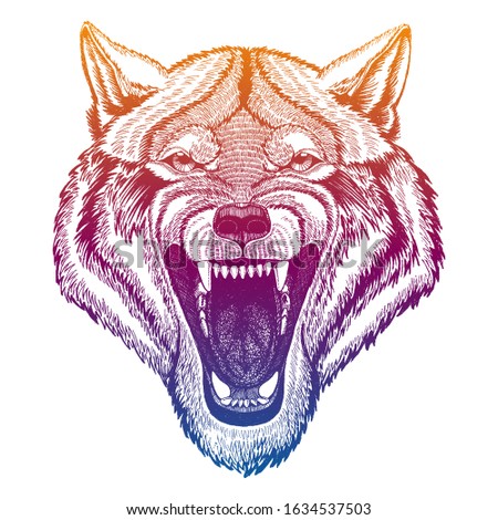 Wild wolf. Animal head. Portrait of dangerours beast. Hunter face. Realistic vector illustration.