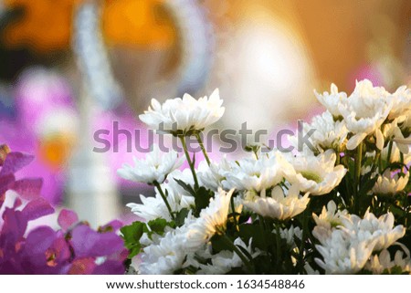 blured for background,A close up picture of a bouquet of flowers  That has many kinds of flowers