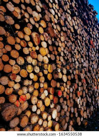 cut wooden logs