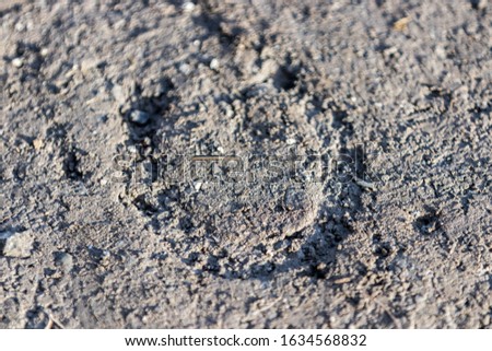 footprint from a horse on the ground