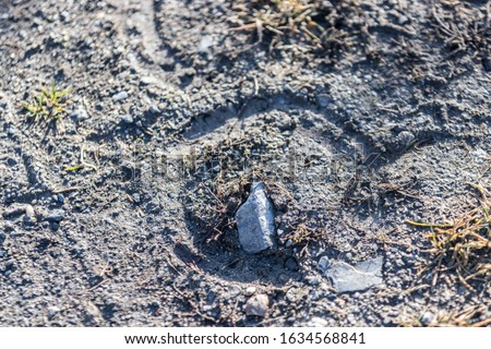 close up from a footprint from a horse on the ground