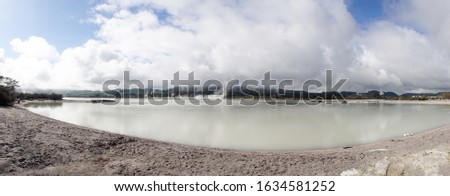 Hot spring and volcanic geyser with birds flying between the mist at Rotorua, New Zealand.