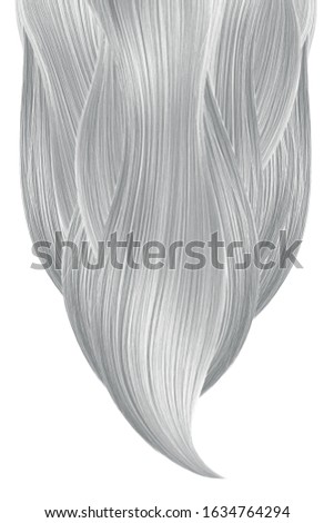 Gray hair isolated on white background. Long ponytail