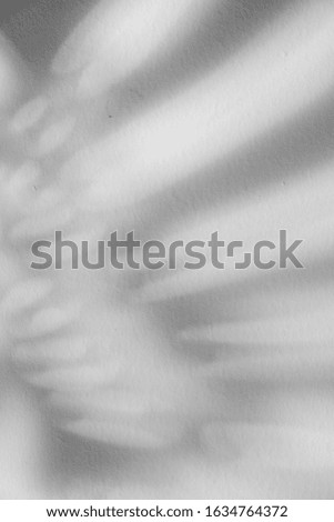 a blur of shadow and light on white background