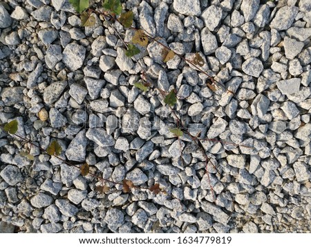 surface texture of the granite stone ground