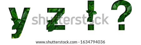 Font leafs y,z,!,? made of Real alive leafs with Precious paper cut shape. Leafs font collection set.