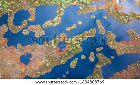Aerial view over peat-bog landscape with the complex lake and  pool ridge patterns. Estonia is 2nd most boggy country in Europe. Peatland are important as pool of biodiversity and CO2 deposit.
