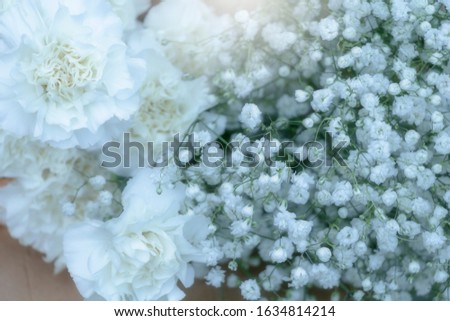 Blurred image of bouquet flowers for special occasion Valentine's day, marry and birthday celebration.  