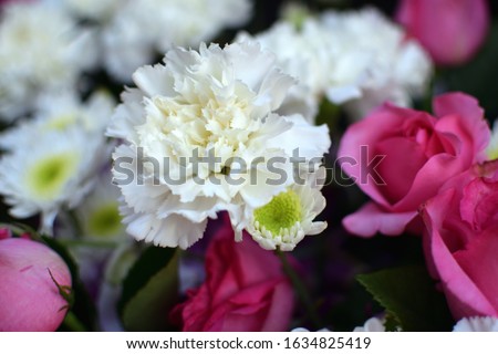 A close up picture of a bouquet of flowers  That has many kinds of flowers