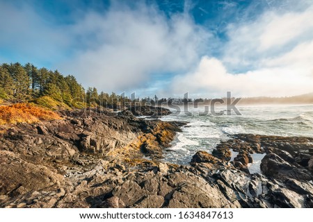 Pacific ocean coast. The coast, also known as the coastline or seashore, is the area where land meets the sea or ocean, or a line that forms the boundary between the land and the ocean Royalty-Free Stock Photo #1634847613