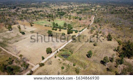 Aerial pictures, desolate forests, arid nature