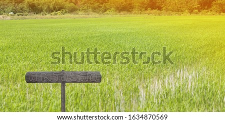 Wooden sign written Follow in father's footsteps stand on the rice field in Thailand