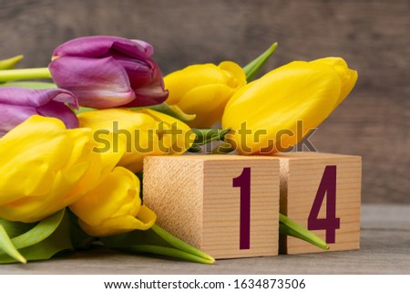 number 14 on wooden blocks with yellow and violet tulips, valentine's day card