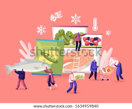 Frozen Food Concept. Tiny Male and Female Characters Buying and Cooking Natural Iced Products Fresh Vegetables, Fruits Meat and Fish. Healthy Eating, Conservation. Cartoon Flat Vector Illustration Royalty-Free Stock Photo #1634959840