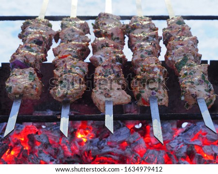 Delicious shish kebab in spices and marinade on skewers is fried on a grill with burning charcoal in the garden, closeup. Picture of delicious meat for a picnic.