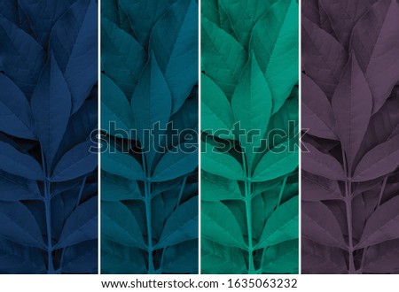 Top 4  Colors Spring and  Summer  2020. Trendy colors blue and green shades of a season.