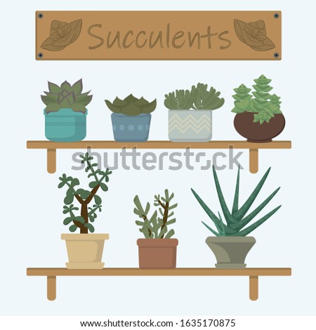 A collection of succulents in cozy pots, drawn in a flat design. Royalty-Free Stock Photo #1635170875