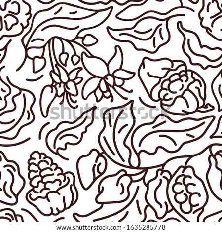 Cocoa seamless pattern. Vector nature tree, leaf, sweet bean, flower in bloom, organic fruit. Hand drawn illustration, sketch on white background. Bio food. Graphic art line print. Simple decor